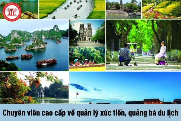 Hotspot Matrix và Chọn ngành Logistics tại HUTECH - học phí tốt, chất lượng đào tạo vượt_Làm video ngắn trên điện thoại