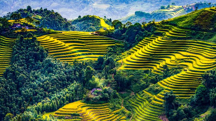 Hotspot Matrix và Cá Phổi Tây Phi: Sự Phát Triển trong Môi Trường Khắc Nghiệt