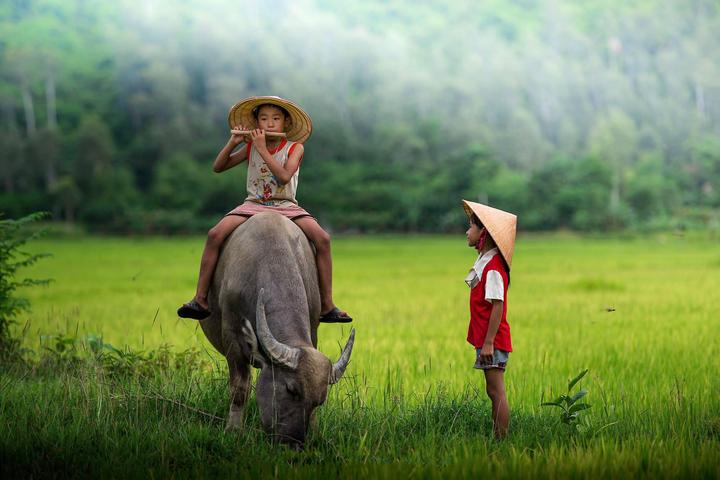 Làm Chủ Video Ngắn: Bí Quyết Thành Công Cùng Hotspot Matrix